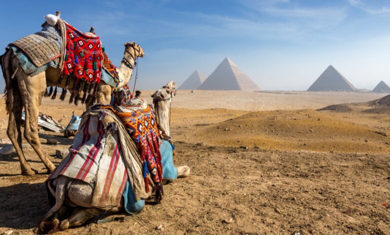 “بيزنيس-أفريكا”:-مصر-ضمن-أفضل-10-وجهات-للسفر-والسياحة-في-أفريقيا-2025