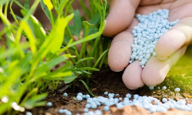 “الزراعة”-تنفي-وجود-عجز-أسمدة-في-بعض-المحافظات