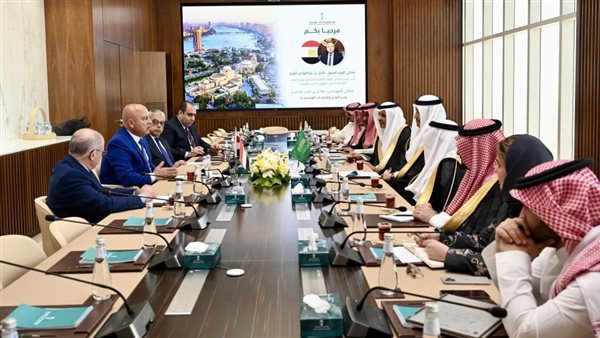 مصر-والسعودية-تبحثان-تعزيز-التعاون-في-مجالات-النقل