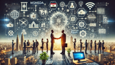 61-مليون-دولار-استثمارات-الشركات-الناشئة-بمصر-فى-الربع-الأول-من-2025