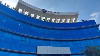 مبيعات-“بالم-هيلز”-تقفز-148%-إلى-80.2-مليار-جنيه-في-الربع-الأول