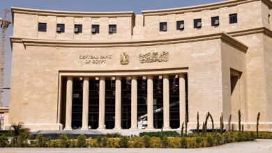 احتياطي-النقد-الأجنبي-لمصر-يتجاوز-48-مليار-دولار-للمرة-الأولى-في-تاريخه