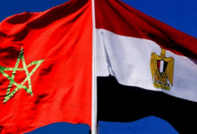 30-شركة-مصرية-تدرس-إنشاء-مصانع-جديدة-فى-المغرب-خلال-3-سنوات