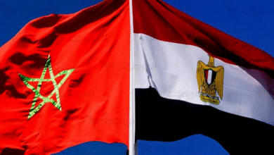 30-شركة-مصرية-تدرس-إنشاء-مصانع-جديدة-فى-المغرب-خلال-3-سنوات