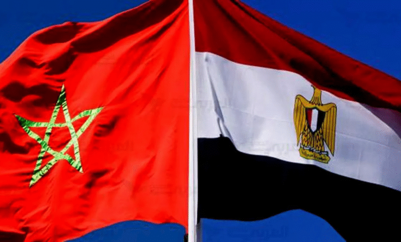 30-شركة-مصرية-تدرس-إنشاء-مصانع-جديدة-فى-المغرب-خلال-3-سنوات