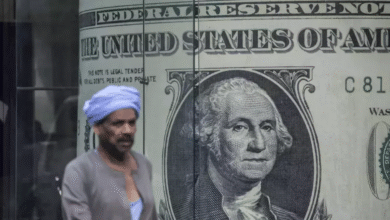 سعر-الدولار-بختام-تعاملات-البنوك-المصرية-اليوم-الأحد-11-مايو-2025