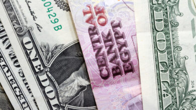 سعر-الدولار-في-بداية-تعاملات-البنوك-المصرية-اليوم-الإثنين-12-مايو-2025