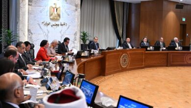 الحكومة-توافق-على-تغيير-النشاط-بالموانئ-الجافة-لـ”أكتوبر-الجديدة”-لإقامة-منطقة-حرة-ولوجستية