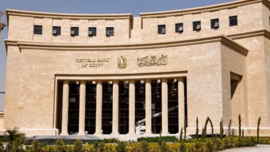“المركزي-المصري”-يتولى-رئاسة-لجنة-الاستقرار-المالي-والمصرفي-لعامين